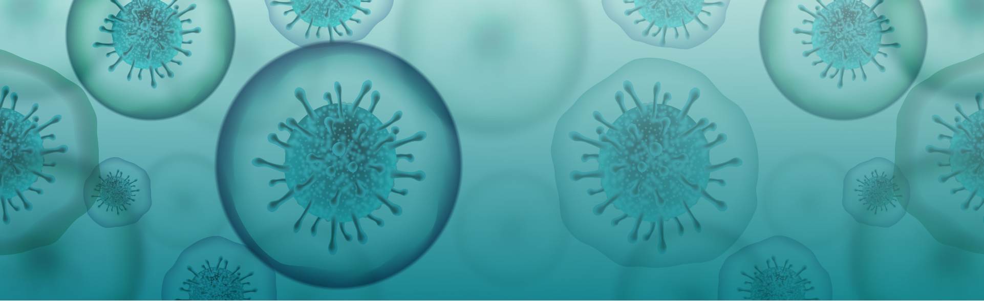 Image of the COVID-19 virus